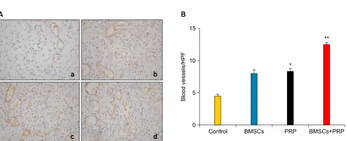 Fig. 4. Effects of bone marrow-derived mesenchymal stem cells (BMSCs) and platelet-rich plasma (PRP) on wound vascularity