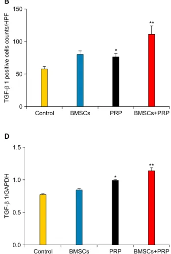 Fig. 7. Effect of treatment with bone marrow-derived mesenchymal stem cells (BMSCs) and platelet-rich plasma (PRP) on transforming  growth factor-β1 (TGF-β1) level