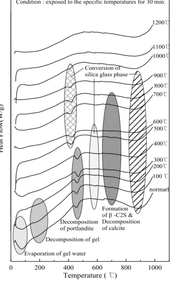 Fig. 2 Result of thermo gravimetric analysis명에  많이  기여하고  있는  분석방법이다.본  논문에서는  콘크리트의  건전부위와  화재손상에  의해 열화된  부위를  온도별로  촬영하였으며,  동시에  EDS분석도 참고적으로  실시하였다.3