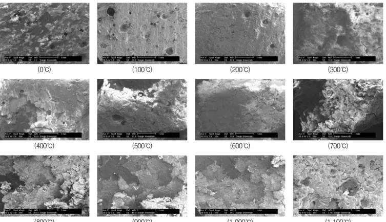 Fig. 4 SEM image of the heated concrete surface