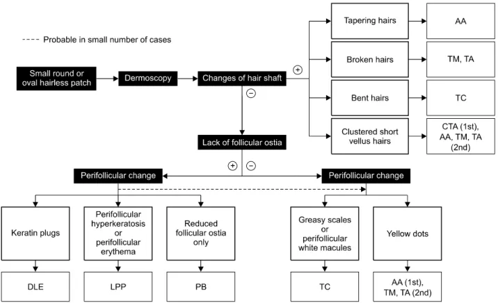 Fig. 9. The algorithm for dermoscopy of small round or oval hairless patch on the scalp