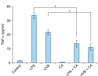 Fig. 3. The levels of secretory cytokine TNF- α  in the supernatant  increased in response to LPS or UVB irradiation