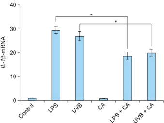 Fig. 5. The expression of LL-37 mRNA in keratinocytes increased  in response to LPS or UVB irradiation