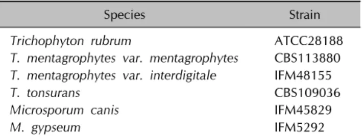 Table 1. Standard strains of dermatophytes used in our studyclinical significance.
