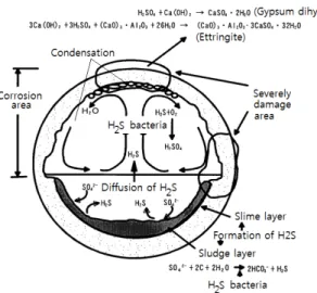 Fig. 2 Biochemical corrosion in concrete sewage culvert