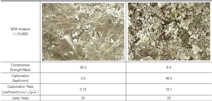 Fig. 5 Difference of carbonation among two concrete specimens that are different in compressive strength