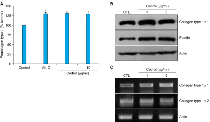 Fig. 3. Effect of cedrol on collagen and elastin production in dermal fibroblasts. (A) Cells were treated with cedrol at the indicated concentrations for 2 d
