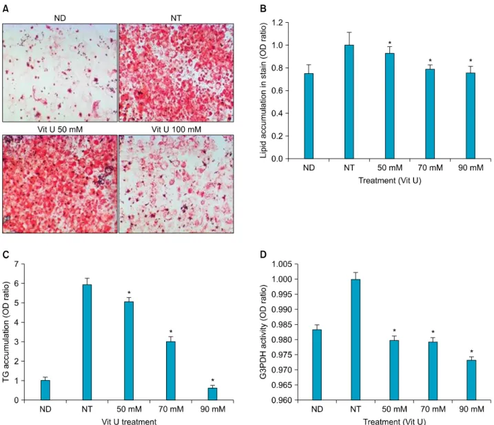 Fig. 2. Effect of vitamin U on the inhibition of adipocyte differentiation in Oil Red O staining, triglyceride (TG) assay and  glycerol-3-phosphate dehydrogenase (G3PDH) activity assay