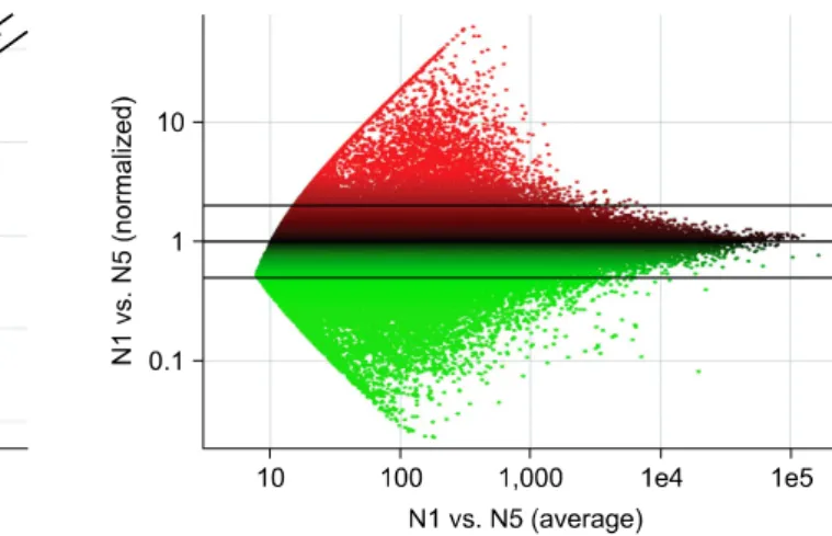 Fig. 2. Reverse transcription polymerase chain reaction analysis for K14 and K10 in an epidermal sample
