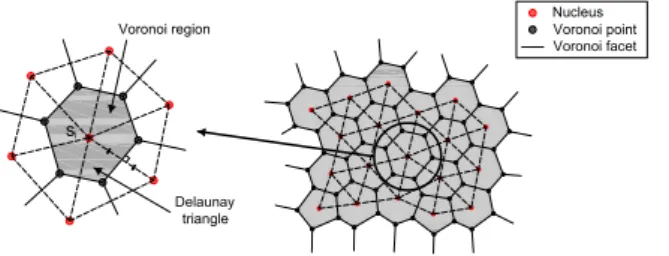 Fig. 10 RBSN model(Bolander and Saito, 1998)
