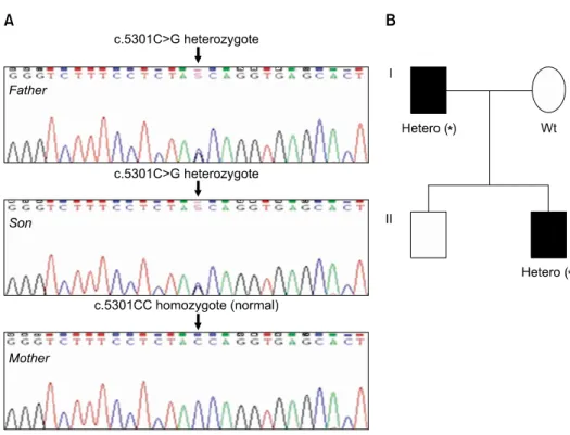 Fig. 1. Detection of filaggrin (FLG)  mutation, Y1767X. (A) Direct DNA  sequencing of specific FLG  poly-merase chain reaction products