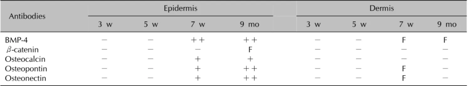 Table 2. Intensity of antibody expression in the epidermis and dermis of the zebrafish