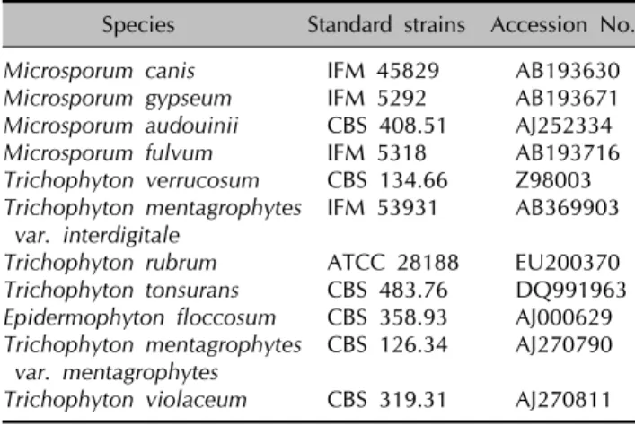 Table 1. Eleven standard species of dermatophytes used in this study