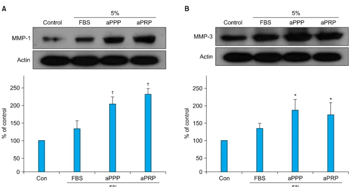 Fig. 5. aPRP and aPPP treatment in culture medium increased the expression of MMP-1 and MMP-3 protein expression in cultured HDF