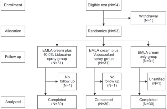 Figure 1. Randomized controlled trial flow diagram.
