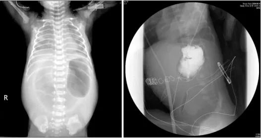 Fig. 1. Results of X-ray examination. 