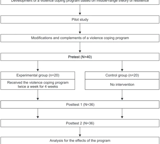 Figure 1. Program development procedure and testing for program effectiveness.
