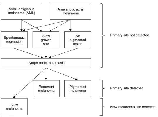 Fig. 4. Several hypotheses explai- explai-ning the appearance of the primary site after detecting a metastatic  lesion.