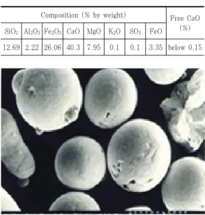 Fig.  1  Internal  structure  of  RCSS