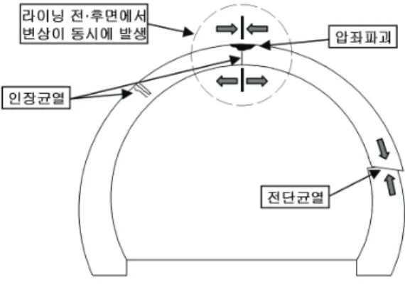 Fig.  1  지하구조체의  변상발생  형태1.  서  론지하구조물의  변상발생은  구조물  자체  또는  주변지반에서  발생하는데,  특히  구조물  자체에  있어서  여러 형태의  변상이  발생한다