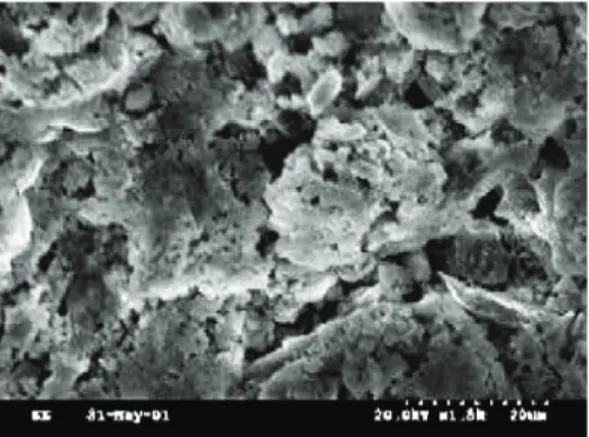 Fig.  14  Scanning  electron  microscopic  observation  (1500× 