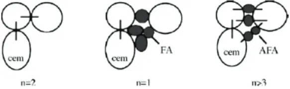 Fig.  1 Fly  ash  and  activated  fly  ash  effects  on  cement  particles  connection (22) (n,  number  of  connecting  points)비표면적은  각각  1.9와  127m2 /g이었다