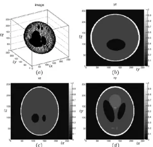 Fig. 4. Calculated projections of the three-dimensional Shepp–