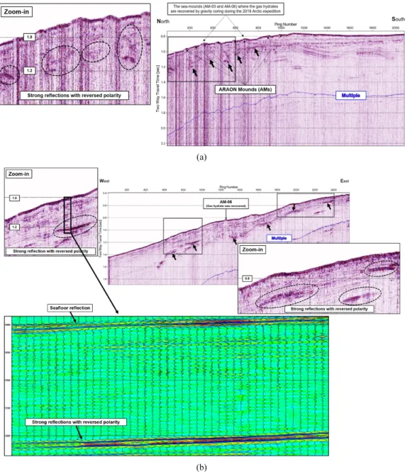Fig. 7. Seismic images including the strong reflections with reversed polarity and acoustic blanking under the sea-mound structures: 