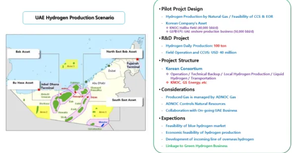 Fig. 11. Proposed pilot project in UAE for overseas production of hydrogen.