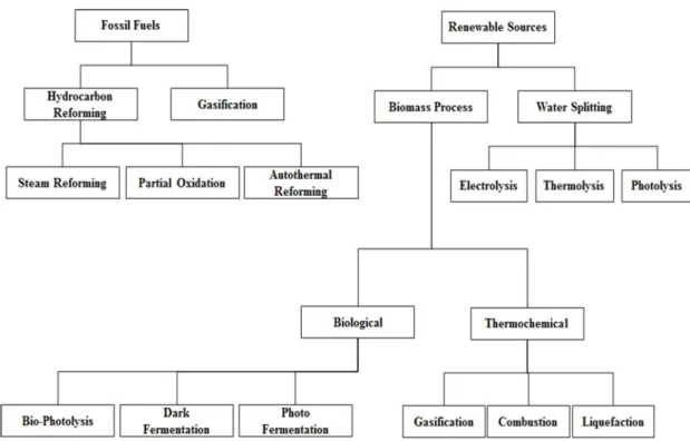Fig. 2. Hydrogen production methods (Nikolaidis and Poullikkas, 2017).낮추고, 신재생 에너지를 비롯한 다양한 신사업을 키우는 국가개혁 프로젝트 “비전 2030”을 추진 중이다