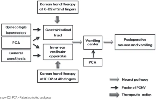 Figure 1. Theoretical framework of this study based on Korean hand therapy and meridian theory