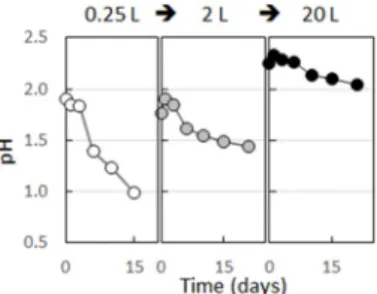 Table 1. Experimental conditions of sequential increase in culture medium volume