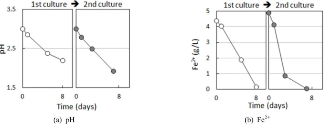 Fig. 6. Variation in (a) pH and (b) Fe 2+  concentration over consecutive culturing of A