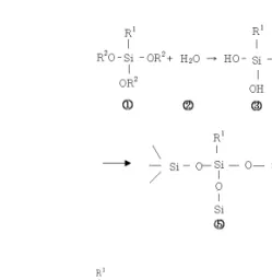 Fig.  1  부분  가수된  에틸실리케이트