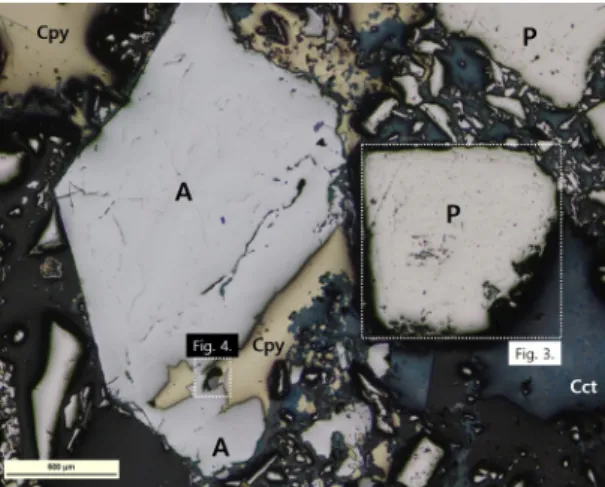 Fig. 2. Microphotographs of sulfide minerals using polarization  microscope.  The  scale  bar  is  500  µm  in  length