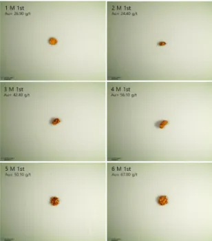 Table 6. The gold contents of the 2 nd  and 3 rd  filter papers