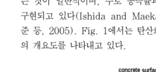 Fig.  1  탄산화에  따른  철근부식  개요도