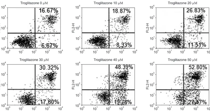 Figure 2. Effect of troglitazone on the cell survival of osteosarcoma cells by flow cytometry