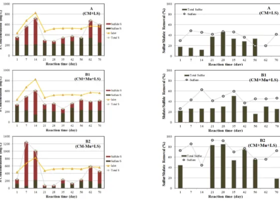Fig. 3. Concentration and removal efficiency of sulfur species in column Set A, B1 and B2.