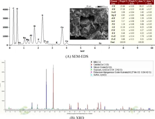 Fig. 8. Analytical results of (A) SEM-EDS and (B) XRD of the column precipitate.