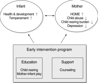 Figure 1. Early intervention program for infants and mothers.
