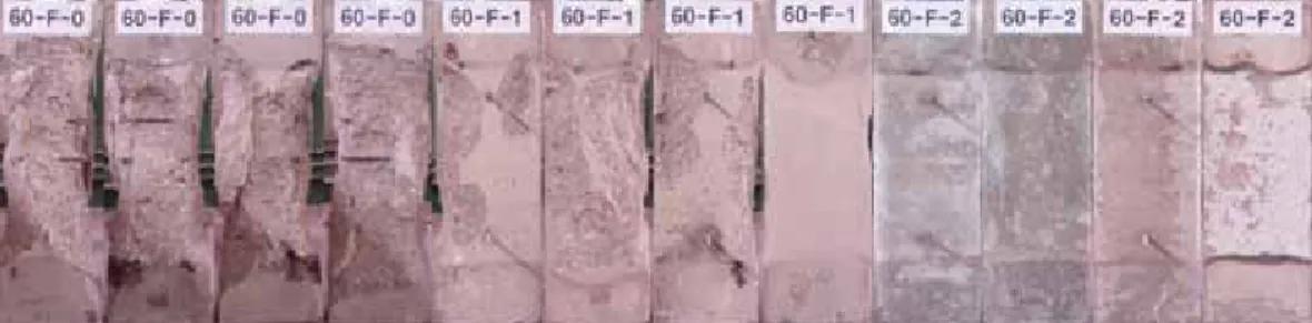 Fig.  8  PP섬유  함유량에  따른  폭렬성상(배합강도  60MPa) Fig.  9  PP섬유  함유량에  따른  폭렬성상(배합강도  100MPa) Fig