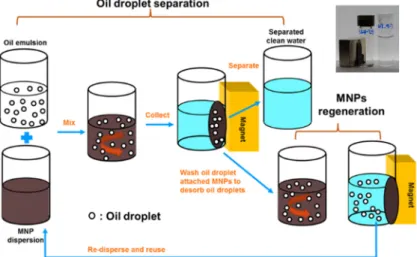 Fig. 6 shows schematically the PMNP-based process to  remove the microscopic oil droplets (or the remnant  polymer and divalent cations, as described below) from  water
