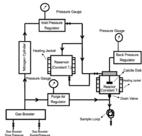 Fig. 4. Abstractional diagram of carbonate acidizing (Al-harthy et al., 2009).