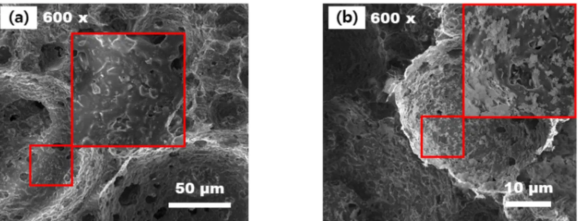Fig. 8. SEM micrographs of the fracture surface of (a) the TB support at magnification of 600 x and (b) the TB coated with  SBA-15-T-Cal at magnification of 600 x.