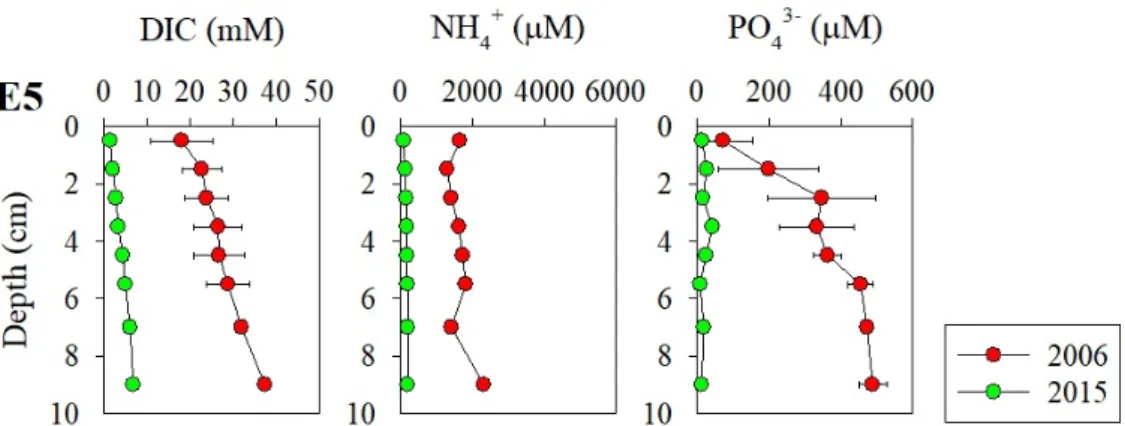 Fig. 6. Comparison of the dissolved inorganic carbon (DIC), ammonium (NH 4 +