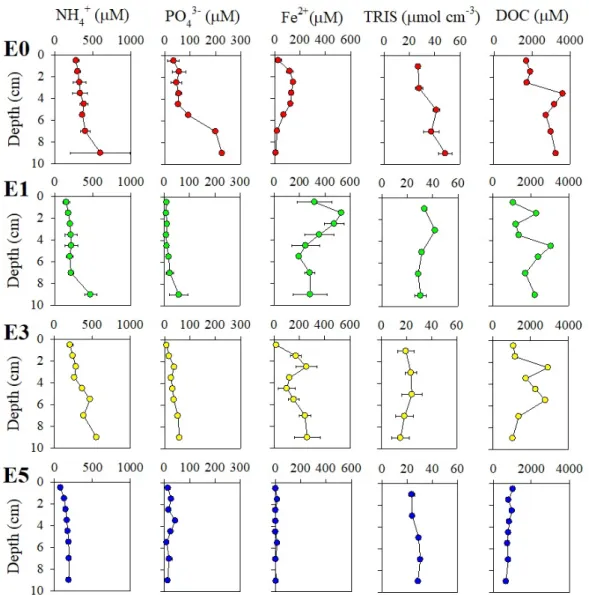 Fig. 2. Vertical profiles of ammonium, phosphate, ferrous iron, total reduced inorganic sulfur, and dissolved organic carbon in  the pore water and sediment