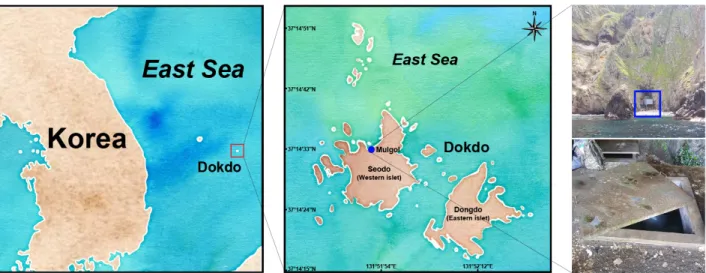 Fig. 1. Location of the Mulgol pond on Dokdo, Republic of Korea. Note that a map was created using the ggmap package in R  Project (R Project 4.0).
