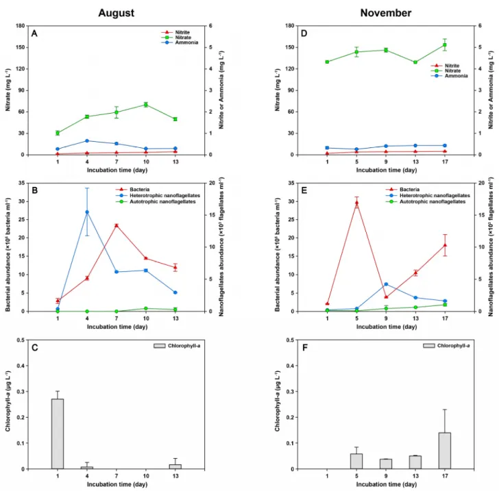 Fig. 3. Effects of the light intensity (8000 lux) on the fluctuations of inorganic nitrogen components (ammonia, nitrate, and  nitrate), chlorophyll- a concentration, bacterial abundance, and heterotrophic and autotrophic nanoflagellates abundance in  Augu