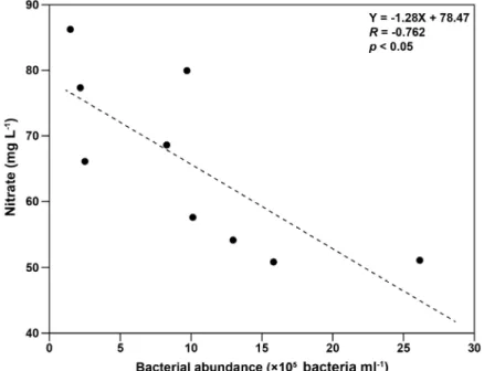 Fig. 4. Relationship between bacterial abundance and nitrate concentration. Note that a time-series data set was obtained  from the light exposure experiments in May and June 2020 (See Fig